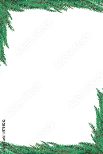 Green fir tree branch frame