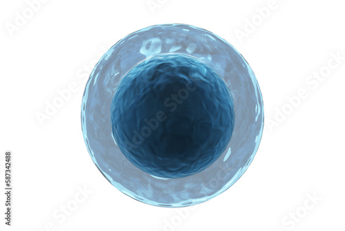 Fényképezés Human egg against white background