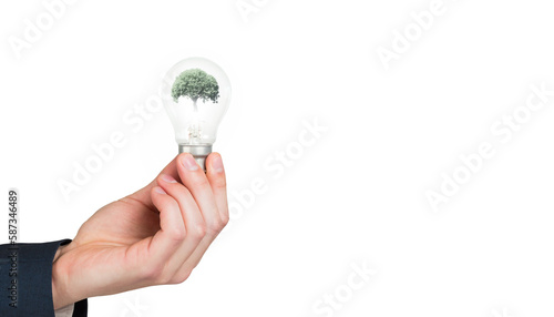 Hand holding environmental light bulb