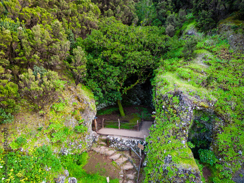 Aerial View at Sacred Tree Garoe near Villa de Valverde at El Hierro Island. Canary Island, Spain. photo