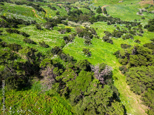 Aerial View at Green Volcanic Hills near Villa de Valverde at El Hierro Island. Canary Island, Spain.