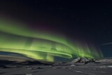 A cold night in the Antarctica with the Norther Lights aurora- made with Generative Ai