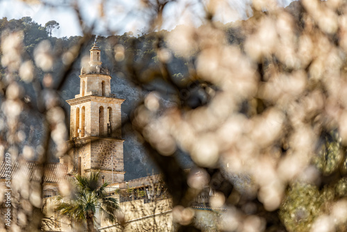 Almond blossom season in village Caimari with parish church Santa Maria, Majorca, Mallorca, Balearic Islands, Spain, Europe photo