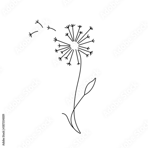Vector isolated one single dandelion blowball flower with flying seeds colorless black and white contour line easy drawing
