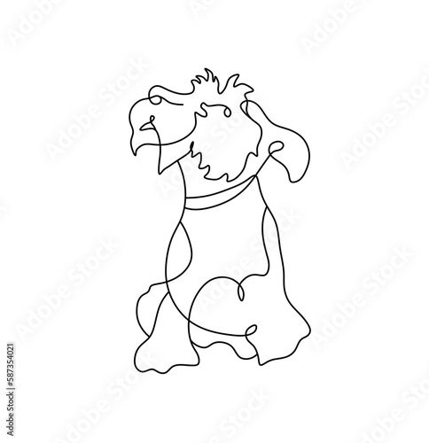 Vector isolated one singlle contemporary line sitting dog terrier shaggy colorless black and white contour line easy drawing