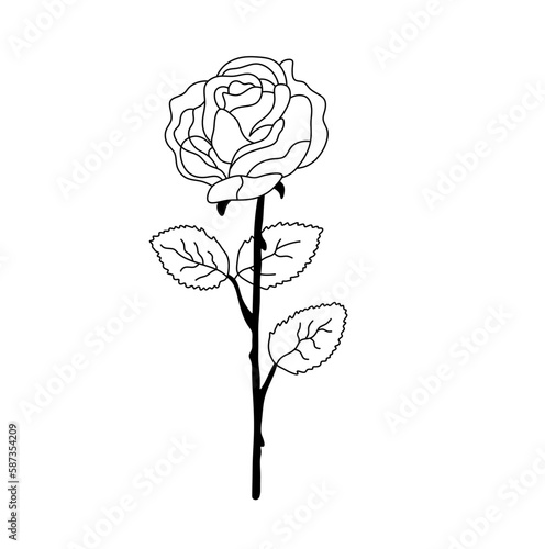 Vector isolated one single rose flower with plack stem and leaves colorless black and white contour line easy drawing