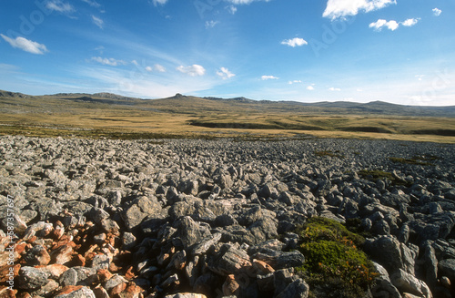 Quartzite, Phénomene geologique, Iles Falkland, Malouines, Iles Sub Antarctiques
