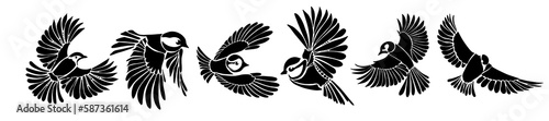 Set of monochrome decorative birds. Vector illustration