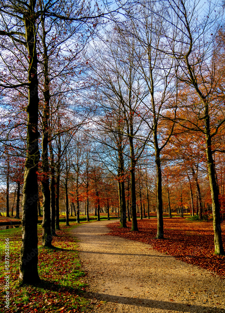 Autumn in a park in the Netherlands
