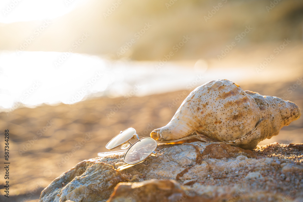 Sunglasses on the rocks on the beach next to a conch shell. The sea can be seen in the background.
