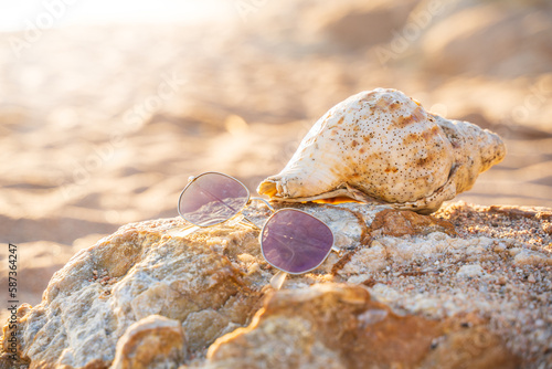 Sunglasses on the rocks on the beach next to a conch shell