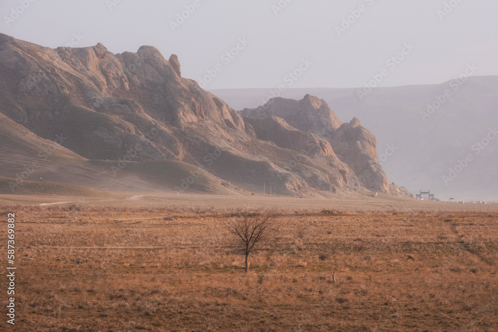 Fototapeta premium Lonely tree in desert mountains