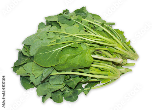 Rapeseed(canola) leafy vegetables on a white background with clipping path.