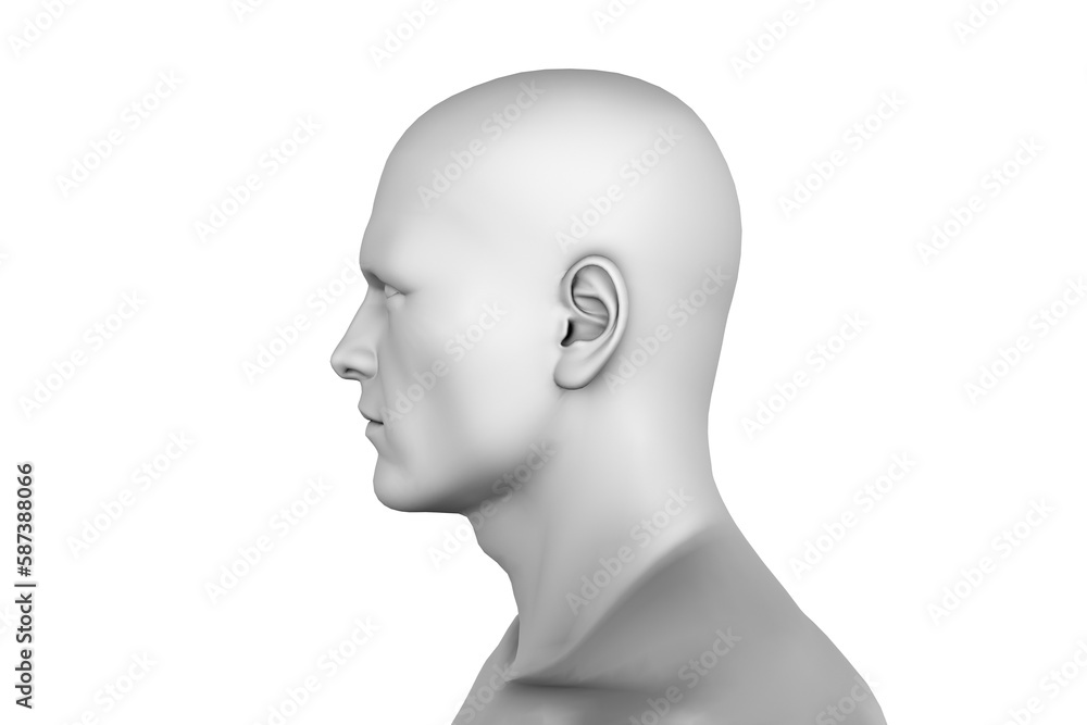 Digitally generated image of human representation 