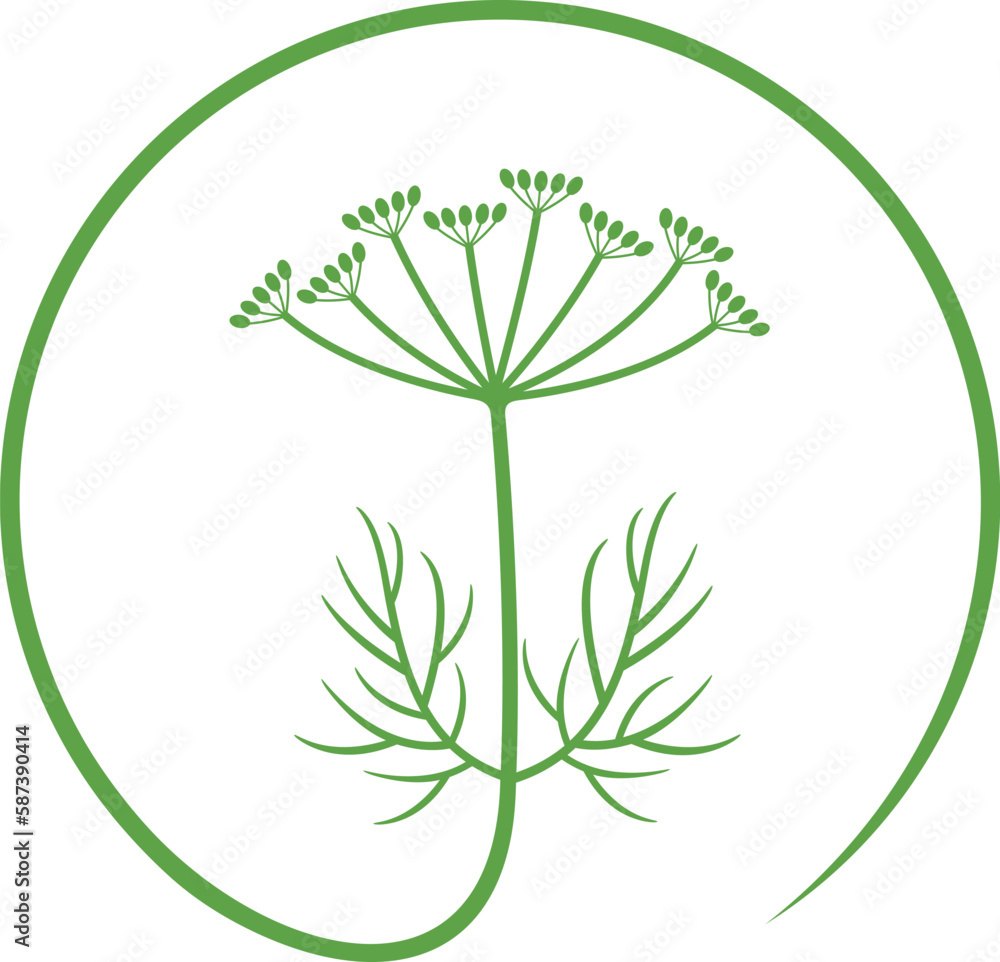 Naklejka premium Caraway logo. Isolated caraway on white background