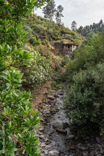 Blurred leaves next to a valley with vegetation and flowers with a stream of Piodão in Foz d'Égua, Arganil PORTUGAL