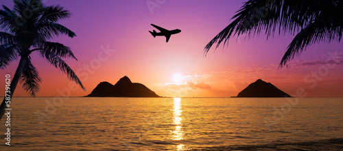 plane traveling to hawaii with sunset and palm trees