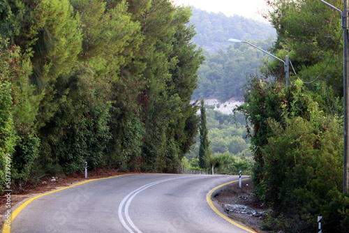 Road in the mountains in northern Israel.