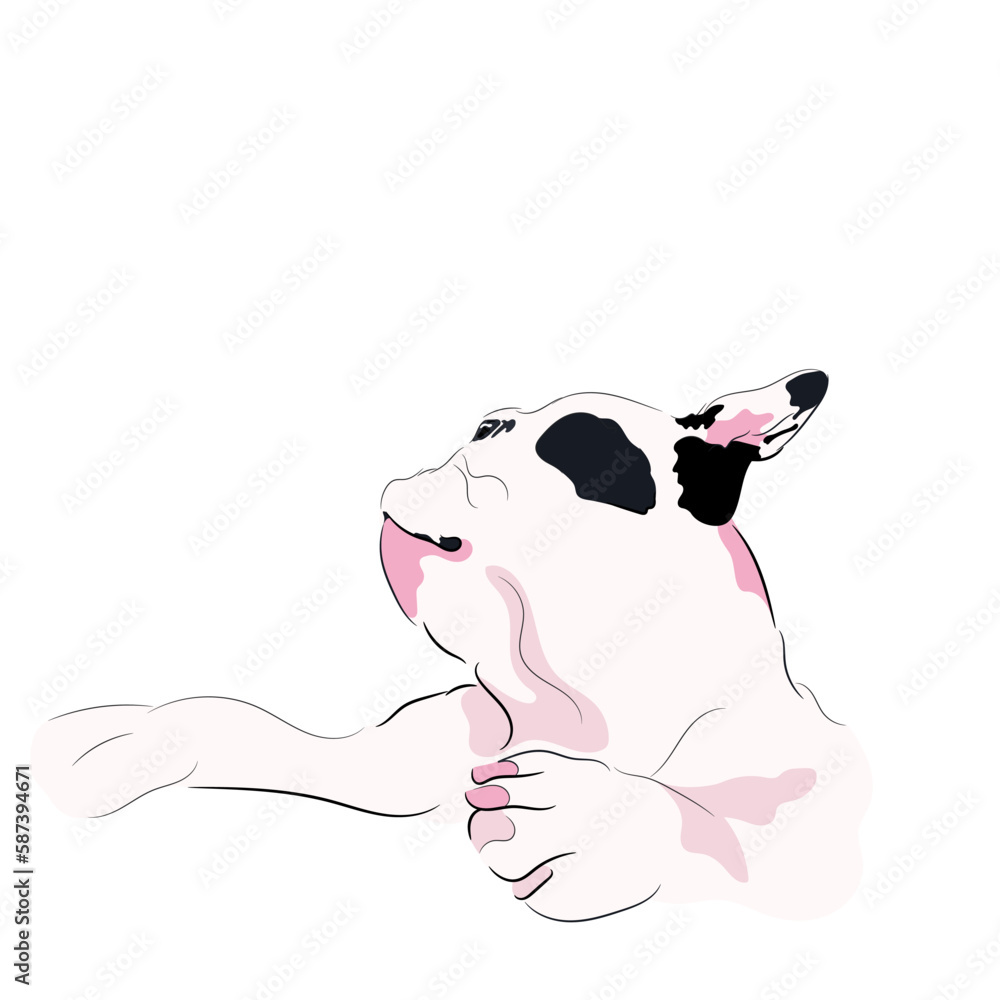 French bulldog vector illustration. Hand drawn dog. Sticker isolated on white background.