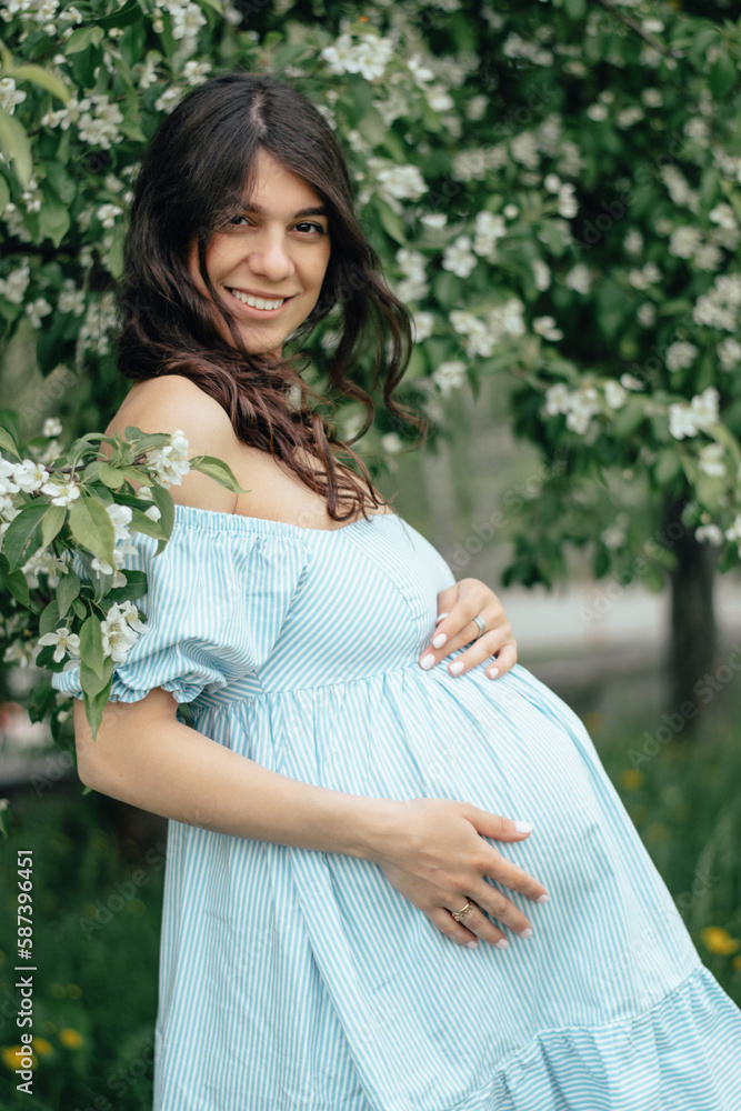 Portrait of a beautiful young pregnant woman in blooming apple trees.Spring,beauty,women's health concept. Portrait of a beautiful young pregnant woman in blooming apple trees.Spring,beauty,women's health concept.
