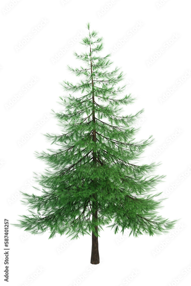 Christmas tree, green conifer spruce, hight fir tree. Isolated object for forest scenes background, environment design illustrations. Christmas tree, green conifer spruce, hight fir tree. Isolated object for forest scenes background, environment design illustrations.