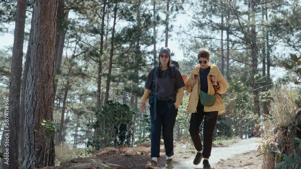 Two girls with backpacks walking towards the camera on a hiking trail through the forest, having conversation. Full shot, slow motion Two girls with backpacks walking towards the camera on a hiking trail through the forest, having conversation. Full shot, slow motion