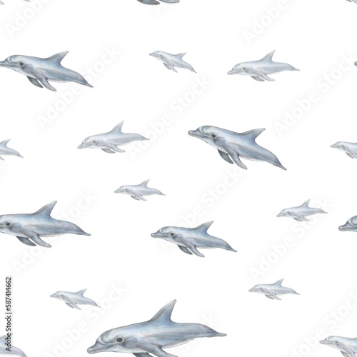 Hand drawn graphic dolphins. Flying dolphins seamless pattern. Dolphin on white background.