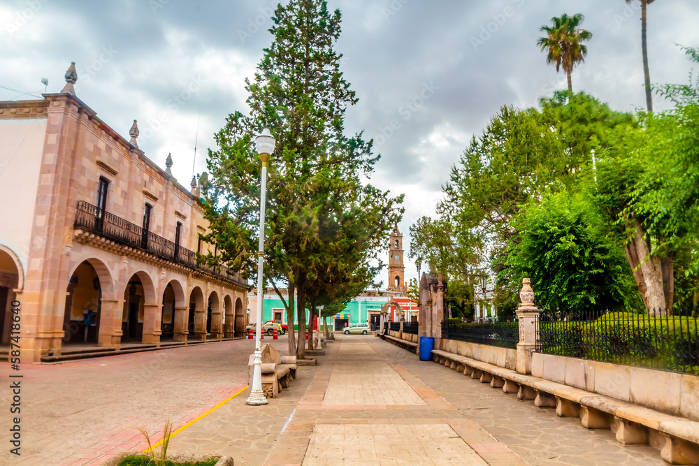 Obraz premium colonial building in cloudy day with three in foreground , city hall street in monte escobedo zacatecas 