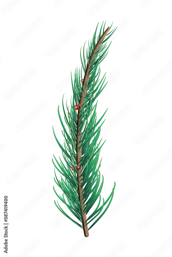 Green fir tree branch Green fir tree branch
