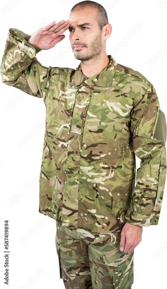 Soldier giving salute Soldier giving salute