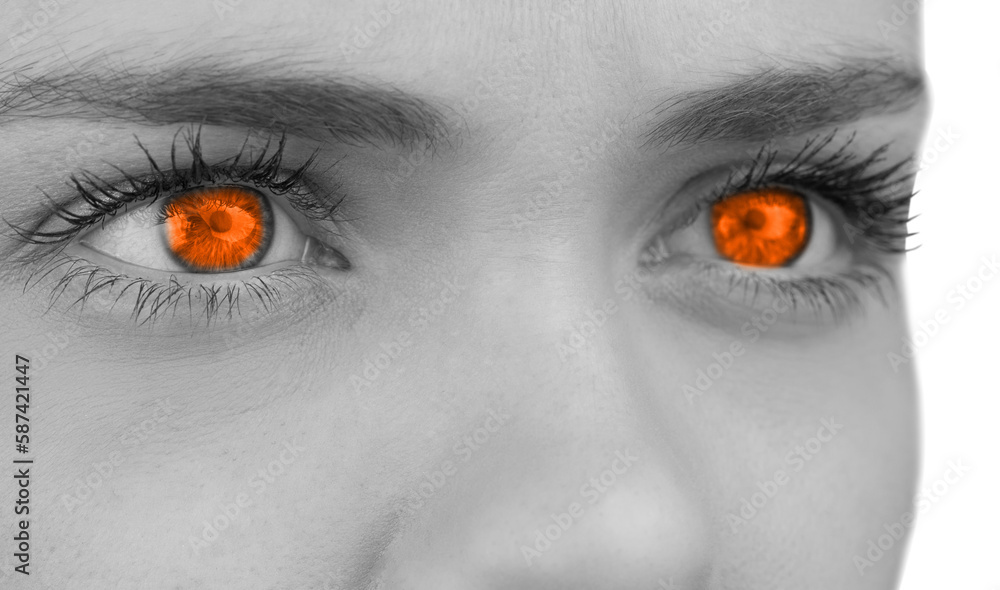 Obraz premium Orange eyes on grey face