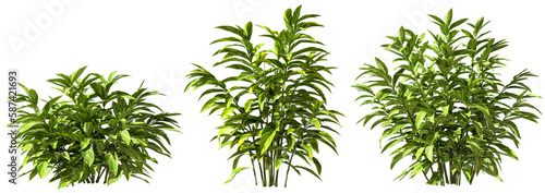 Greenery shrubs plants shapes cut out backgrounds 3d render png