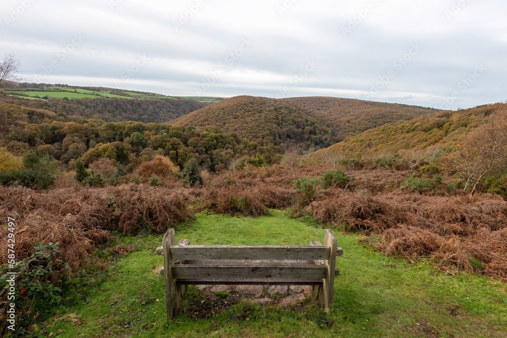 Landscape photo of the autumn colours at Horner woods in Somerset