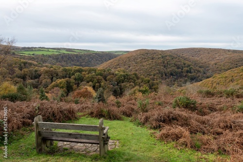 Landscape photo of the autumn colours at Horner woods in Somerset © tom
