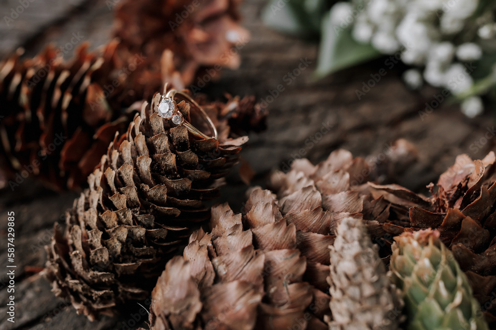 wedding ring lying on a Christmas tree cone, on a beautiful textured surface, photo details. composition wedding ring lying on a Christmas tree cone, on a beautiful textured surface, photo details. composition