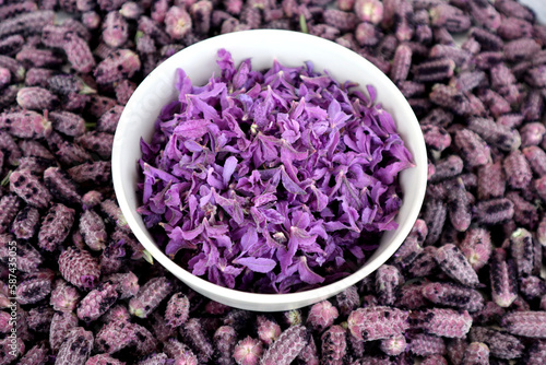 In Turkey harvested flowers of crested lavender  Herba Lavandualae stoechas  ready for further processing. The purple-colored bracts are cooked into jam  the flowers are dried as tea