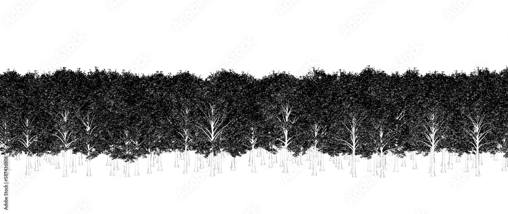 trees in the forest isolated on white background, outline illustration, cg render trees in the forest isolated on white background, outline illustration, cg render