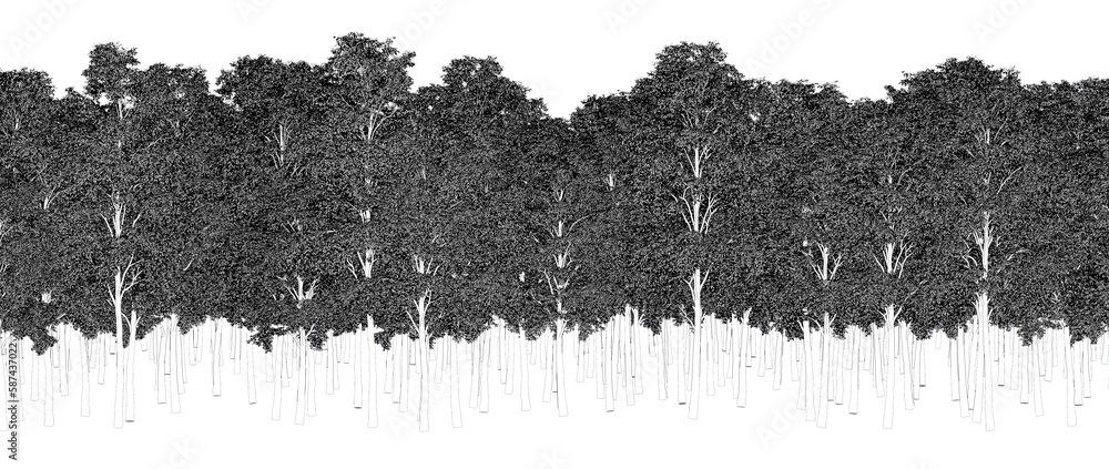 trees in the forest isolated on white background, outline illustration, cg render trees in the forest isolated on white background, outline illustration, cg render