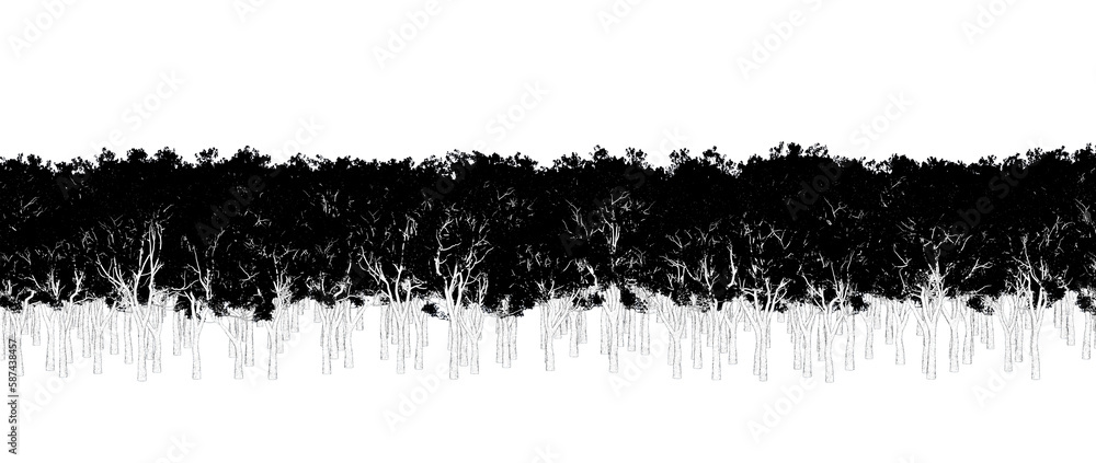 trees in the forest isolated on a transparent background, outline illustration, cg render