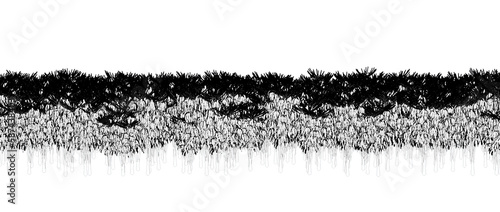 trees in the forest isolated on a transparent background, outline illustration, cg render