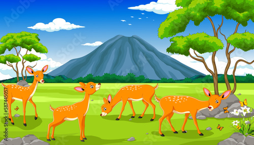 deer in the jungle