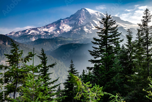 Snowcapped Mount Rainier and Pine Trees in the Wilderness
