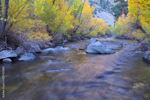 river in autumn