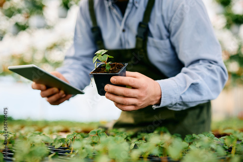 Photography Close up of greenhouse worker using digital tablet while taking care of potted plants
