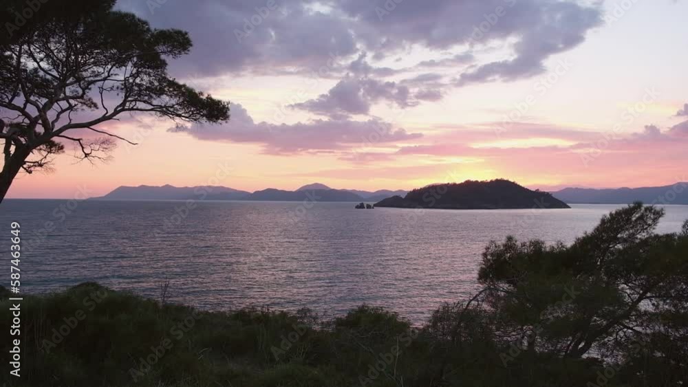 pink purple sunset sky over the mediterranean sea with a range of hills on the horizon and coniferous trees close up pink purple sunset sky over the mediterranean sea with a range of hills on the horizon and coniferous trees close up