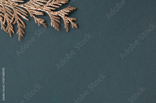 Golden Christmas branch on a blue background. Concept for wedding invitations.