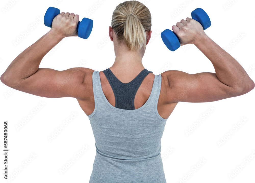 Muscular woman working out with dumbbells Muscular woman working out with dumbbells