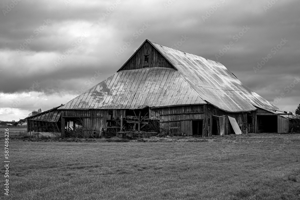 Black and white picture of a collapsing barn in the Skagit Valley of Washington on a cloudy day in spring Black and white picture of a collapsing barn in the Skagit Valley of Washington on a cloudy day in spring