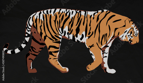 tiger on black background