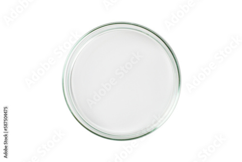 Petri dish empty transparent isolated. PNG.